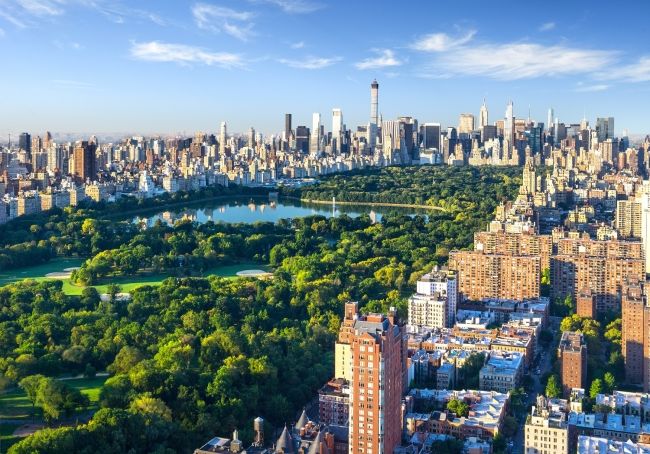 aerial view of central park in the summer